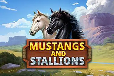 Mustangs And Stallions - Spin City - Congo